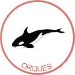 awateha-badge-orques.png